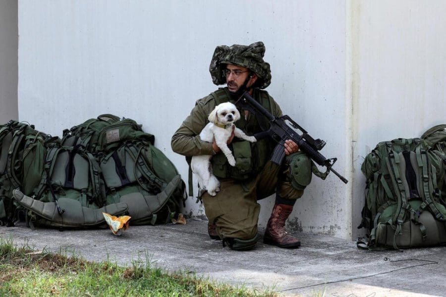כלב וחייל